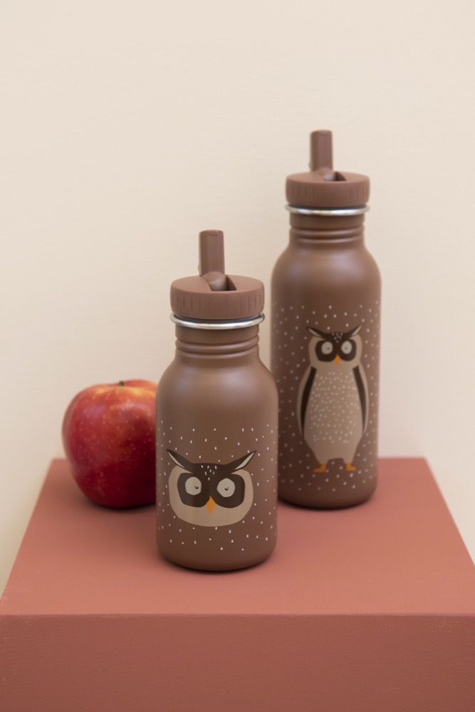 Trinkflasche 350ml - Mr. Owl
